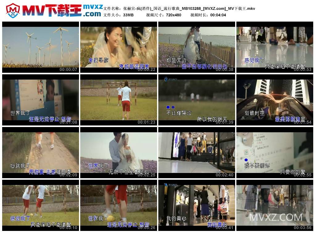 张赫宣-疯(消伴)_国语_流行歌曲_MB103288